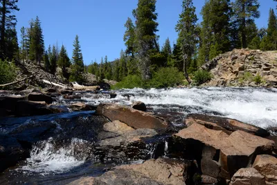 DSC_9942 (Large).JPG